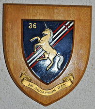 36 Squadron Royal Corps of