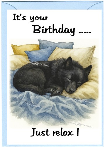Schipperke dog - schipperke, 6")