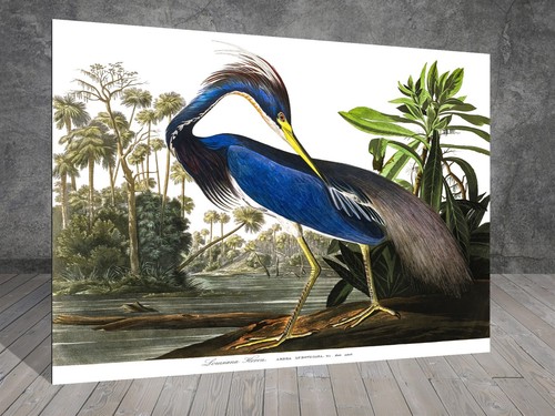 John james audubon - audubon, louisiana