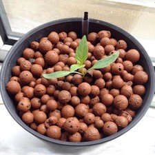 Leca Expanded Clay Balls 1L