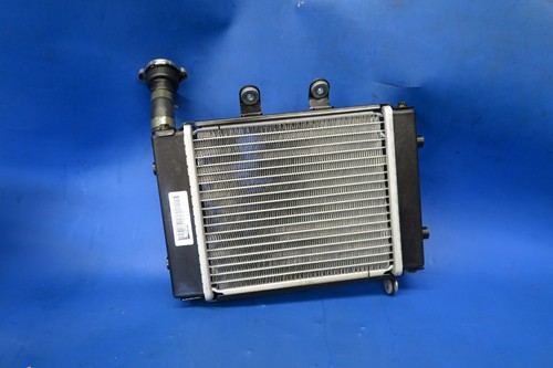 Daelim vjf125 radiator roadwin - daelim,