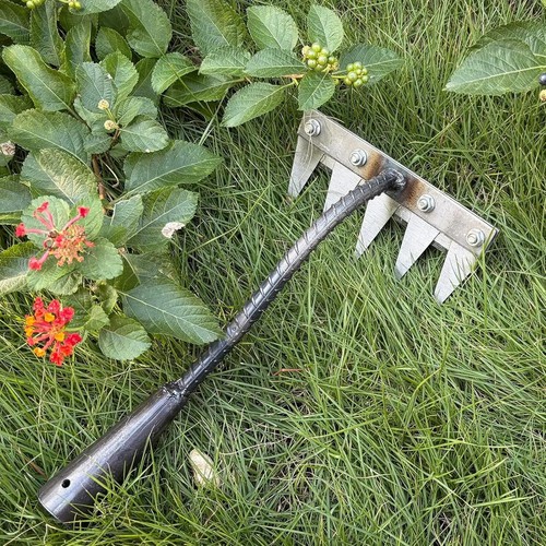 Carbon steel garden hand rake - carbon,