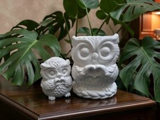 Paint your own pottery-Owl