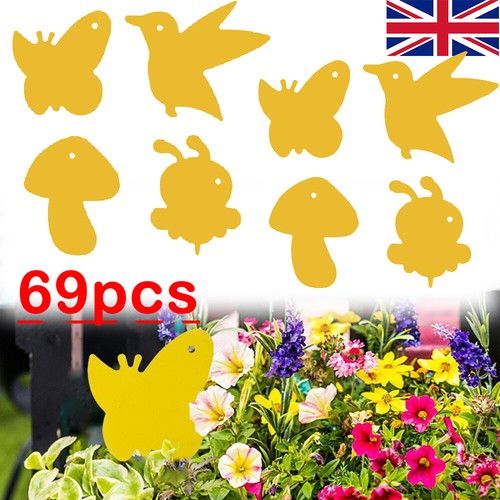 69x sticky fly - sticky,