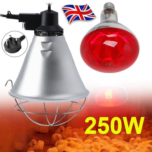 250w infrared heat lamp - 250w,