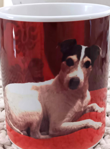 Jack russell cup - russell,