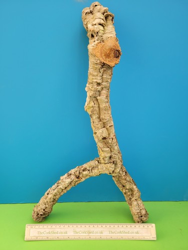 Cork bark branch 56cm - bark,
