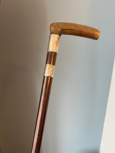 Rams horn crook walking - horn,