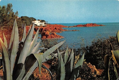 Dans esterel the coast - dans,