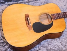 Martin D-18 '75 with Blue Case