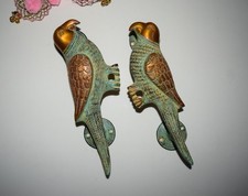 Unique Parrot Theme Front Door