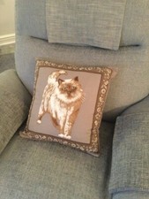 CAT KITTEN LOVERS Unique CUSHION COVER Persian EXOTIC LONGHAIR 16" x 16"