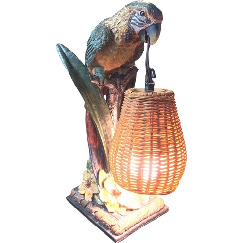 Tropical parrot macaw - macaw, accent