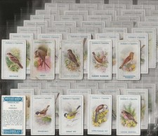 GALLAHER-FULL SET- BRITISH BIRDS BY GEORGE RANKIN (100 CARDS) 