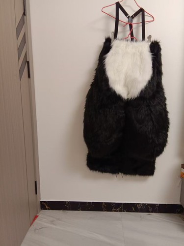 Fursuit long fur - fur, fox