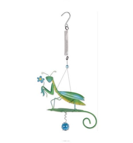 Praying mantis garden - mantis,