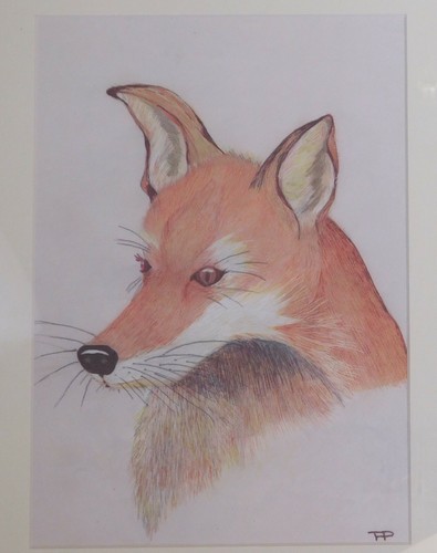 Picture fox by - picture, of