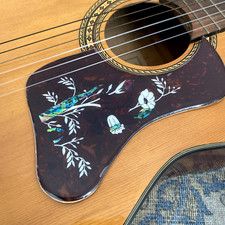 Acoustic guitar deluxe - , 2mm