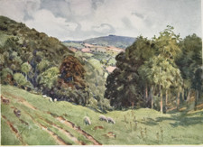 May Hill from the Forest of