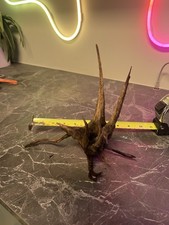 Beautiful Fish Tank Java Wood