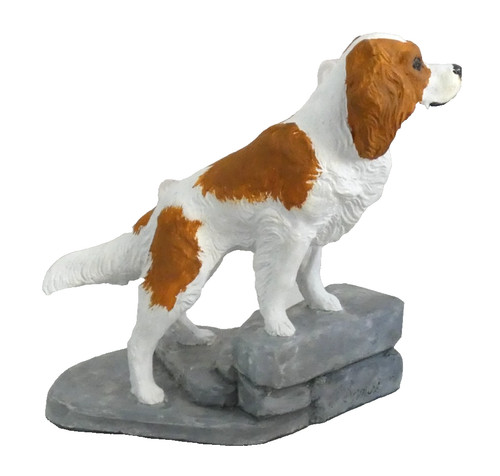 Cavalier king charles spaniel - king,