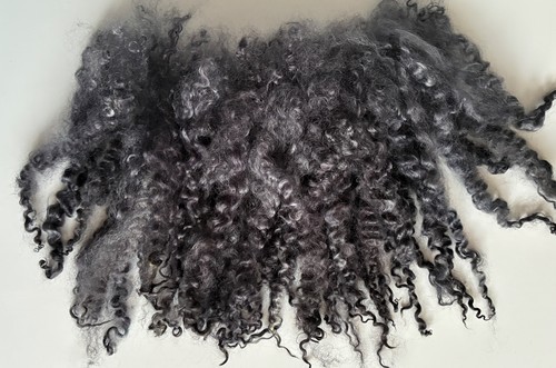 50gm teeswater long - long, locks