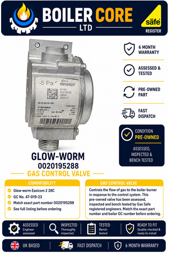 Glow worm 0020195288 - glow-worm,