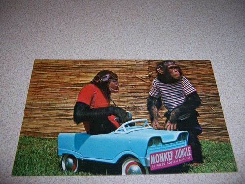 1960s murray pedal car - pedal,