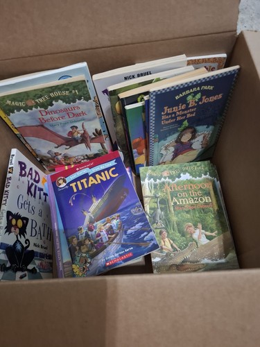 Instant classroom library - instant, lot