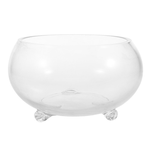 Large glass fish - glass, bowl