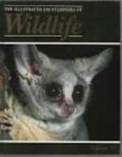 Orbis : The Illustrated