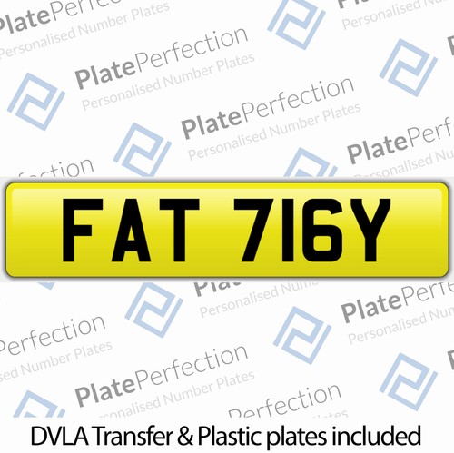 Fat 716y fatty fatso - fat,
