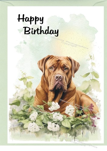 Dogue bordeaux dog - bordeaux,