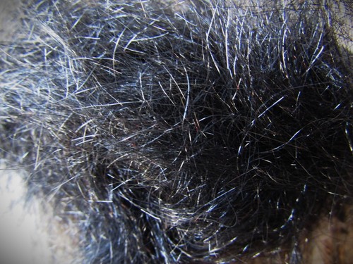 Irish fly supplies soft metal - irish,