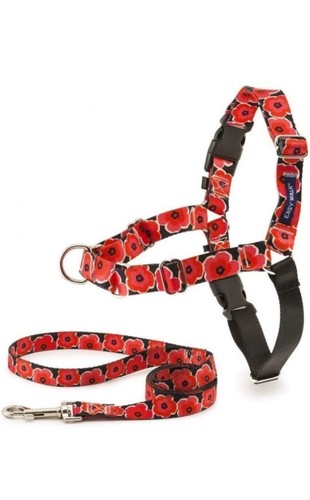 Petsafe designer easy - petsafe, walk