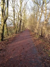 Photo A1 Looking towards Preston along Old Tram Road Preston/SD5329  c2015