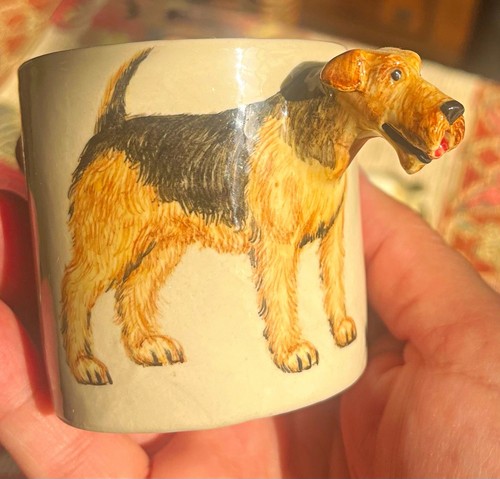 Blue witch welsh - welsh, terrier