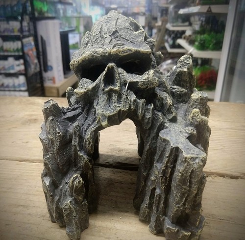 Grey skull aquarium rock - skull, cave