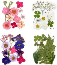 DFsucces 4 Packs About 60