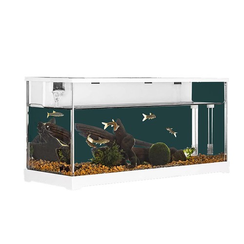 Lidzopas fish tank - lidzopas,