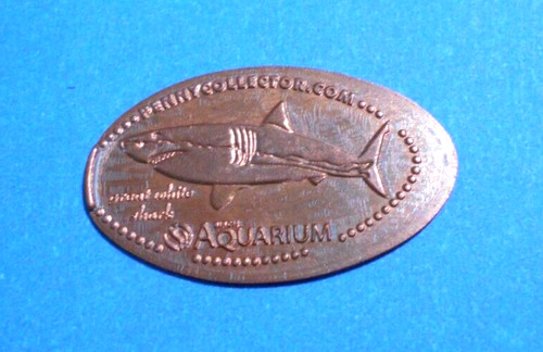 Birch aquarium elongated penny - elongated,