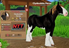 Wild Horse Islands - Black