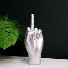 Middle Finger Flip The Bird