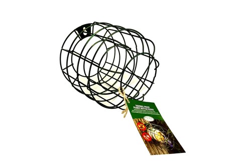 Fallen fruits squirrel proof - fruits,