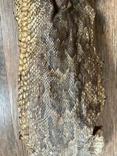 15ft large beautiful snakeskin pelt In One Piece 15ft approx x 25cm at widest 