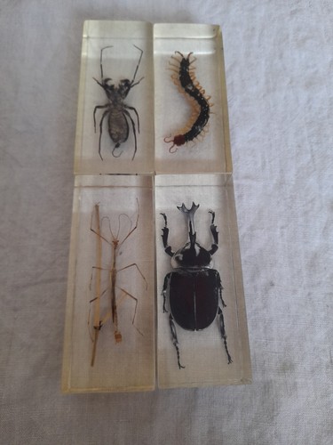 National geographic huge bugs - national,