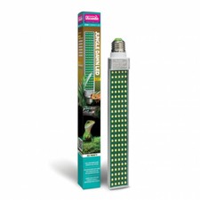 Arcadia Jungle Dawn 22 WATT