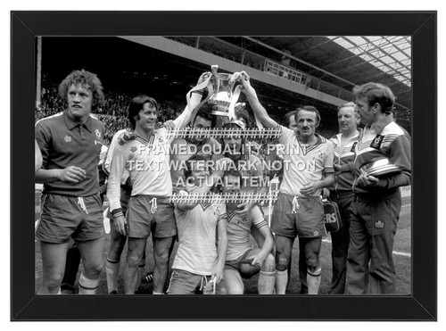 Framed 1976 cup - cup, southampton