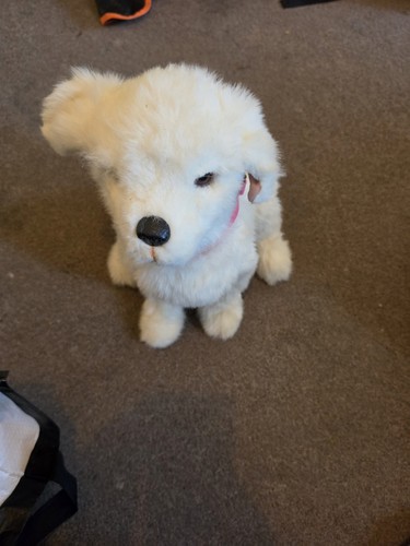 Furreal friends cookie - furreal,