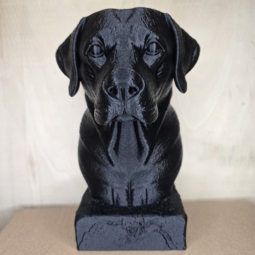 Labrador retriever bust - labrador,